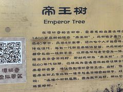 -潭柘寺景区
