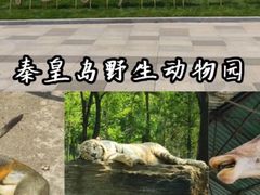 -秦皇岛野生动物园