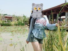 -洛阳古墓博物馆