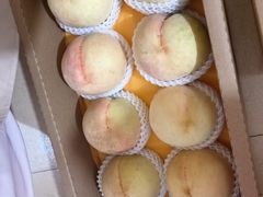 -老袁家蜜桃农场·阳山水蜜桃