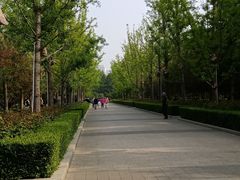 -迎泽公园
