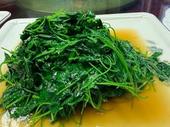 酒香金花菜-协和菜馆(凤凰街店)