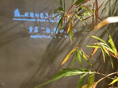 -森SPA·泰式按摩·精油Massage(宝安中心店)