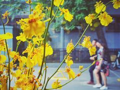 -VOYAGE COFFEE(北锣鼓巷店)