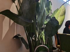 -点心传说·粤菜点心(佐阾虹湾店)