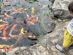 -青岛鑫江温德姆酒店