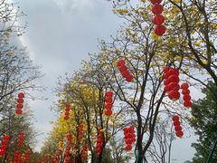 -洲头咀公园