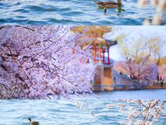 -颐和园