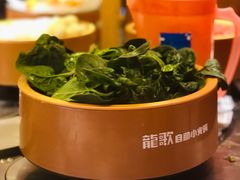 -龍歌自助小火锅(市南金茂湾店)