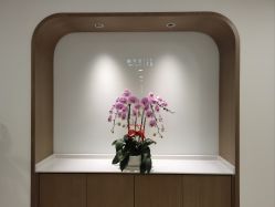 -丰联丽格医疗美容·联合丽格眼整形中心