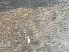 -兰亭风景区