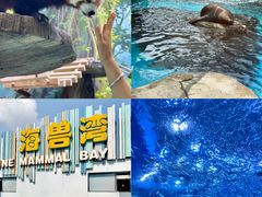 -海合安成都极地海洋公园