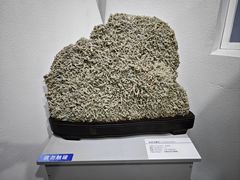 -中国第四纪冰川遗迹陈列馆