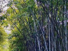 -晓港公园