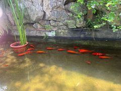 -耕渔小院·湖南鱼鲜(望城店)