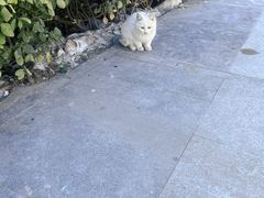 -窦店服务区-停车场