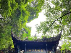-青城山