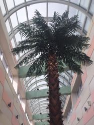 -复旦大学附属妇产科医院(杨浦院区)