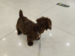 -美联众合动物医院·24h京西诊疗中心