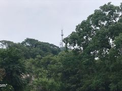 -紫金山山顶公园