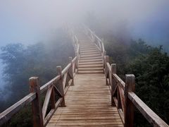 -大岭沟猕猴桃谷风景区
