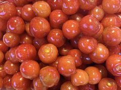 -高坎一品甲鱼庄(两河店)