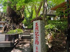 -来宫神社