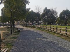 -田园东方蜜桃村的田野营地