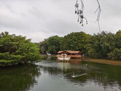 -深圳野生动物园
