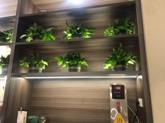 -刘胖子家常菜·蹄花焖藕(中南店)