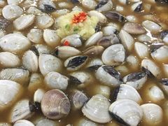 -顺德哥卜卜贝(旗舰店)