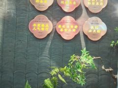 -大榕树下顺德菜(融创茂店)