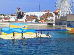 -秦皇岛乐岛海洋王国