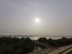 -宝安西湾红树林湿地公园