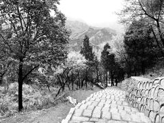 景点-居庸关长城