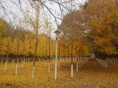 -乐邻里养老院