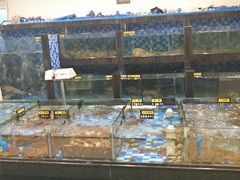 -新塘畔酒楼(里水大道北店)