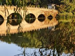 -昆山城市生态森林公园