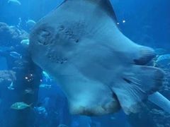 -海合安青岛极地海洋公园
