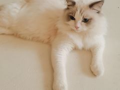 -猫遇摄影工作室