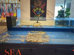 -常德武陵天济喜来登酒店-盛宴餐厅