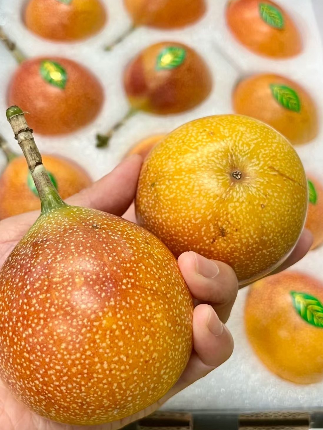 这个是什么水果