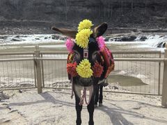 -陕西黄河壶口瀑布旅游区
