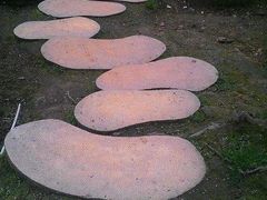 -大金鹰园