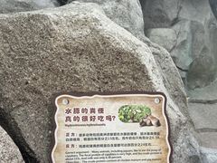 -纪念孙中山市政公园