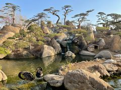 -罗红摄影艺术馆