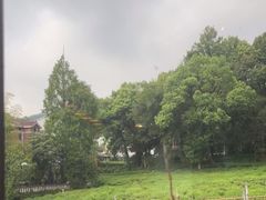 -野蔓果·山野菜(西湖景区·龙井茶田店)