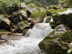 -青城山