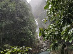 -龙湾潭国家森林公园