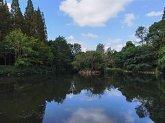 -东平国家森林公园